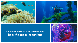 fonds marins